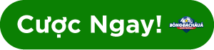 JBO Cược Ngay