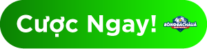 JBO Cược Ngay