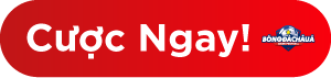 m88 Bóng đá