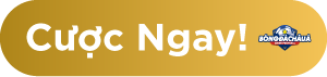 w88 Cược Ngay