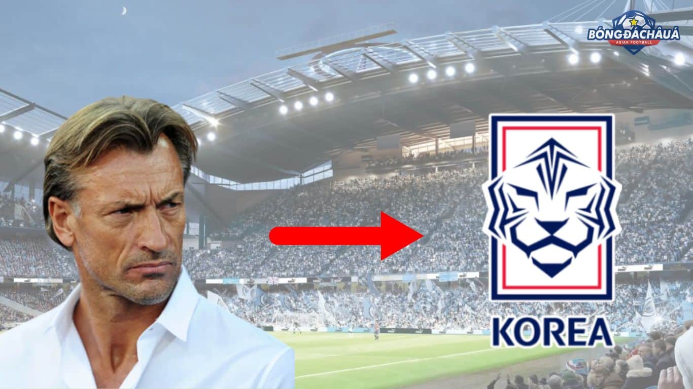 HLV Hervé Renard